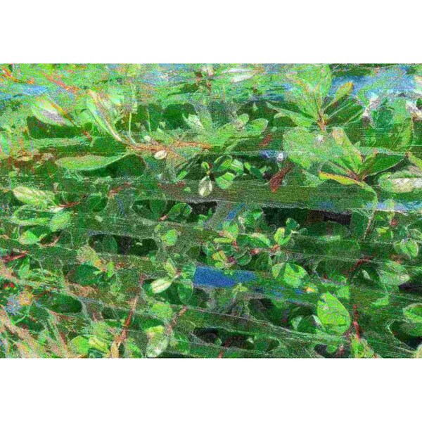 Western Plastics Film Air Flow Premium 19"x3300' WAF18 - main